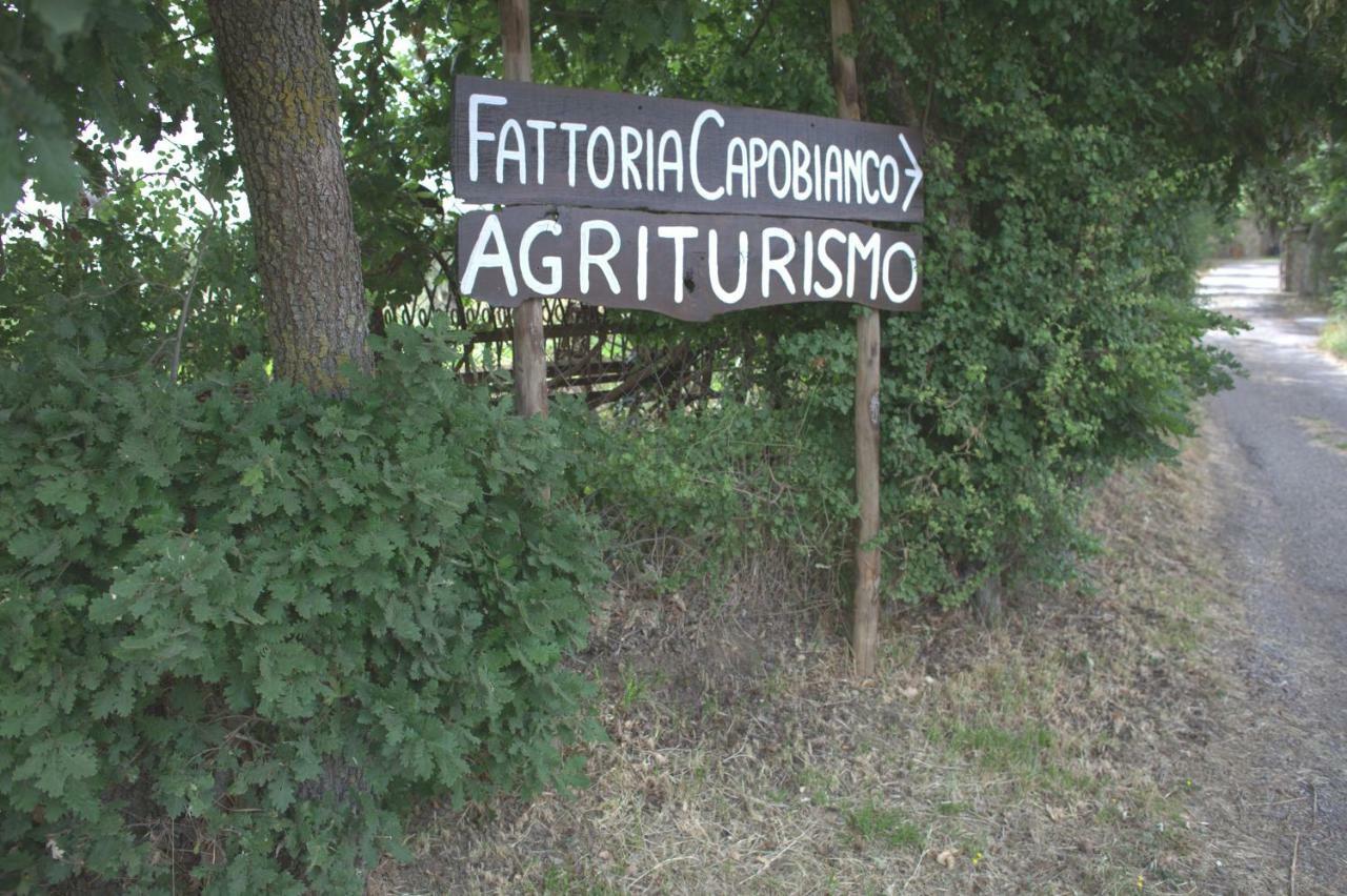 Вілла Fattoria Capobianco Монтеф'ясконе Екстер'єр фото
